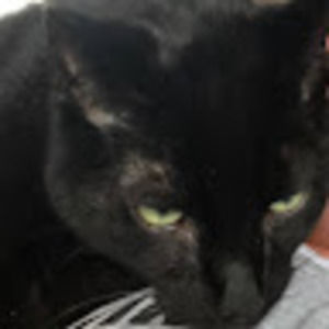 Meet your Posher, Marie